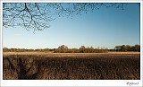 20140202_0016