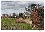 20140205 0023 : Achterhoek