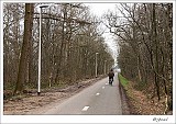 20140218 0006 : Verkensbos