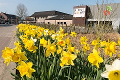 20150409_0025
