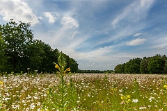 20150628_0016