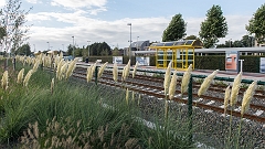 20150915_0016
