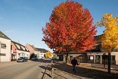 20151023_0023