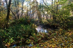20151027_0007