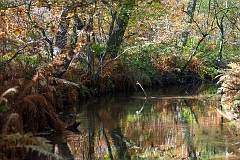 20151027_0079