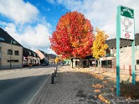 20161102 0013 : Hamont centrum