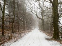 20170124 0062 : De Waag