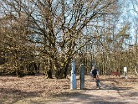 20170312 0045 : Beverbeekse Heide