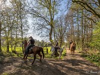 20170409 0036 : Verkensbos