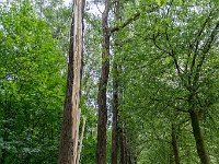 20170611 0005 : Kanaal