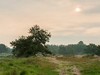 20180609 0303-HDR : Belgie, Hageven, Neerpelt, Plaatsen