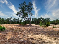 20200909 0017 1-HDR : Belgie, Beverbeekse Heide, Hamont-Achel, Plaatsen