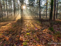 Landschappelijk