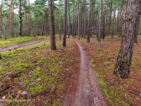 20210114 0005  Beverbeekse Heide : Beverbeekse Heide