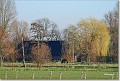 Achterhoek_20080212 : Achterhoek, landschappen