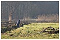 Eenzame werker in de Achterhoek : winterbeelden