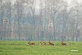 Hazendans in de Achterhoek