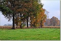 De Schutshoeven 20071108 03-1 : Haart, landschappen