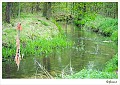 Prinsenloop