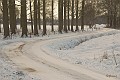 Sneeuwlandschap Achterhoek 2 : Achterhoek