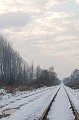 Sneeuwlandschap Militaire dijk : Verkensbos