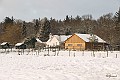 Sneeuwlandschap Verkensbos 2 : Verkensbos