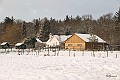 Sneeuwlandschap Verkensbos 2 : Verkensbos