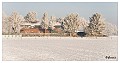 Sneeuwlandschap Winter 4 : Hamont, Winter