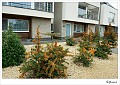 Spoorwegstraat_20101013_0005