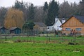 Verkensbos