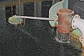 Watertoren_20080413_15