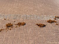 20180519 0942 : Taptoe, Mars en showwedstrijden 2018