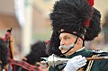 Taptoe__20100522_251