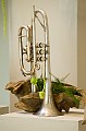 Gerard__20100520_027