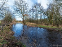 20210204 0027  De Warmbeek tot de nok gevuld : Achel Trappistenwandeling 2021