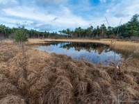 20210204 0045  Beverbeekse Heide : Achel Trappistenwandeling 2021