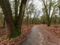 20210204 0096  Stichting Beekenbos : Achel Trappistenwandeling 2021