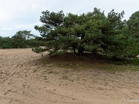 20210204 0099  Stichting Beekenbos : Achel Trappistenwandeling 2021