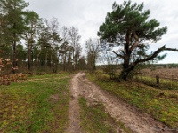 20210204 0106  Stichting Beekenbos : Achel Trappistenwandeling 2021