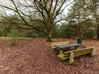 20210204 0109  Stichting Beekenbos : Achel Trappistenwandeling 2021