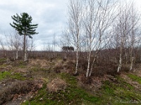 20210204 0124  Groote Heide : Achel Trappistenwandeling 2021