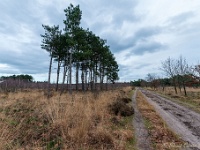 20210204 0127  Groote Heide : Achel Trappistenwandeling 2021