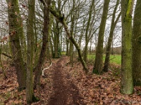 20210204 0130  Groote Heide : Achel Trappistenwandeling 2021