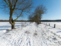 20210213 0087 : Achel Trappistenwandeling 2021