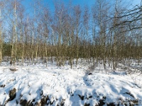 20210213 0091 : Achel Trappistenwandeling 2021