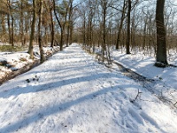 20210213 0097 : Achel Trappistenwandeling 2021