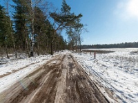 20210213 0100 : Achel Trappistenwandeling 2021