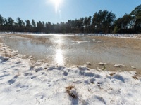 20210213 0108 : Achel Trappistenwandeling 2021