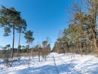 20210213 0141 : Achel Trappistenwandeling 2021