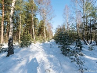 20210213 0145 : Achel Trappistenwandeling 2021